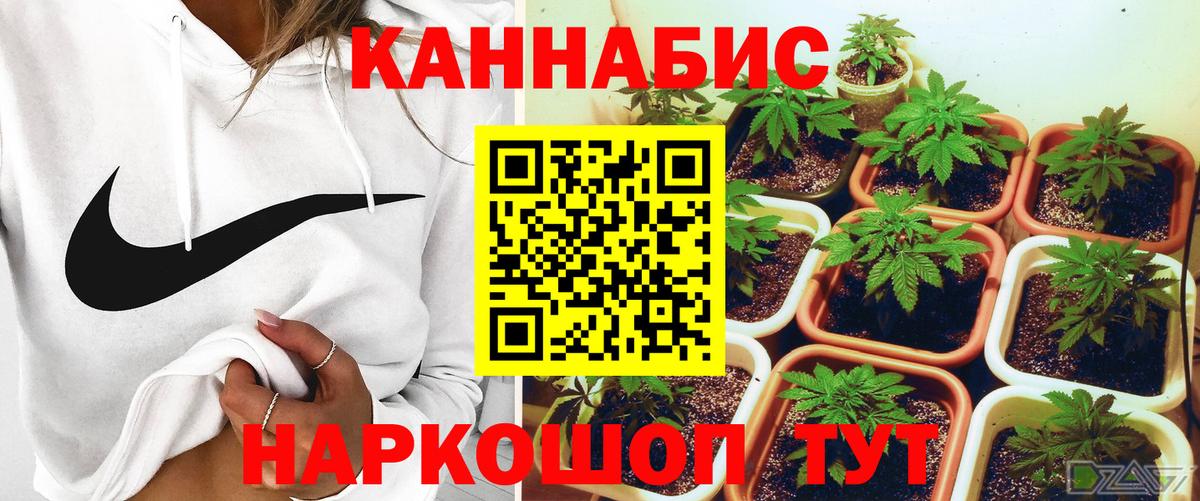 Конопля MAZAR Гурьевск